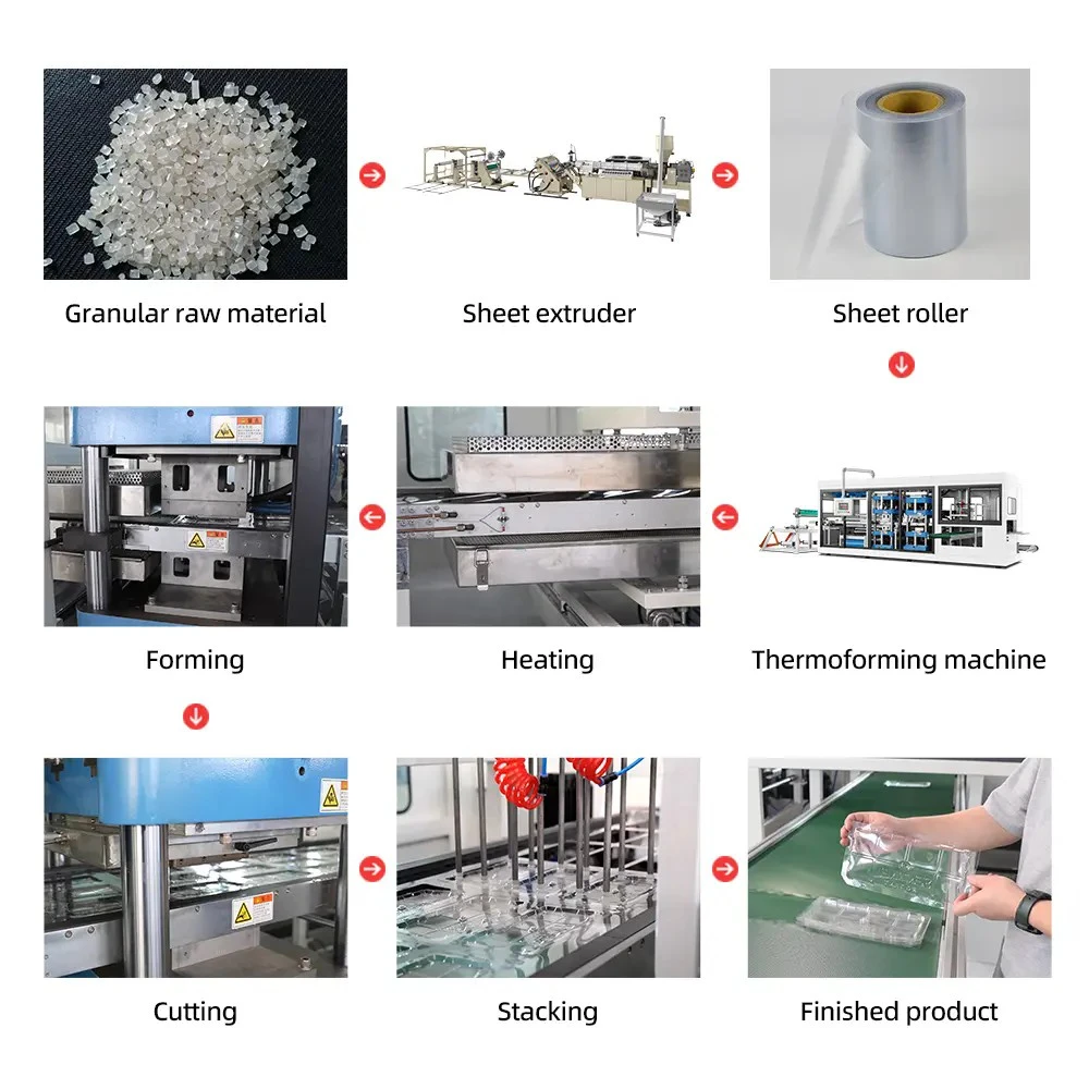Fully Automatic Three-station Plastic Thermoforming Machine best